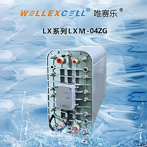 WELLEXCELL唯賽樂(lè)LXM04ZG EDI膜塊 EDI模塊